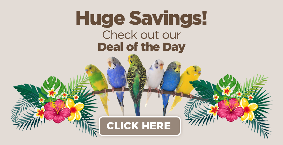 deal-of-the-day-web-banner_r1_c1.png
