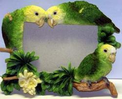 BIRD GIFTS FOR HUMANS
