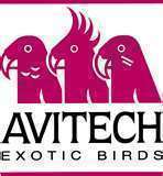 AVITECH