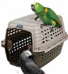 petmate navigator kennel