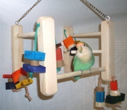 Click to view this Product