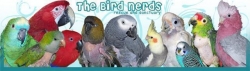 Bird Nerds Rescue