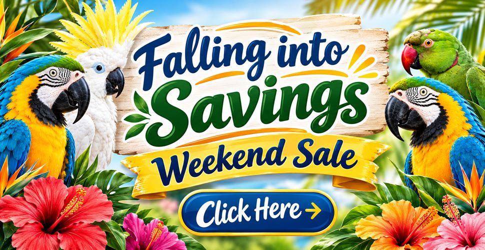 fall_into_savings_2_r1_c1.jpg