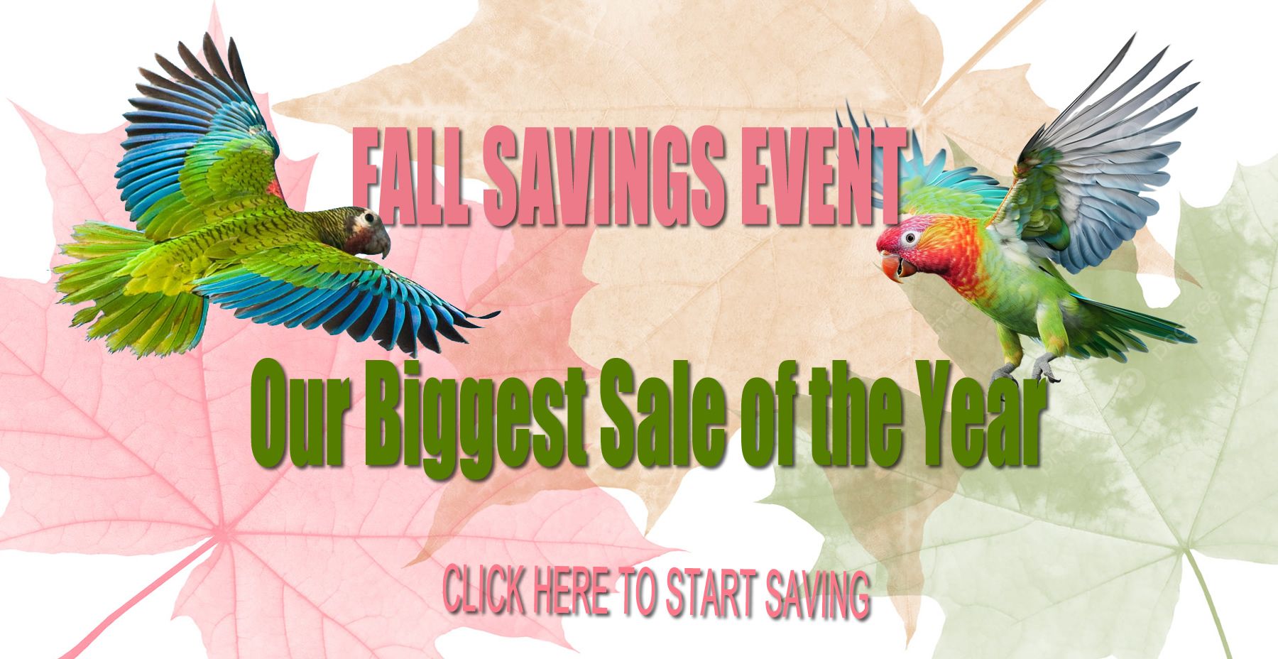 fall_savings_event_2023.fw_r1_c1.jpg