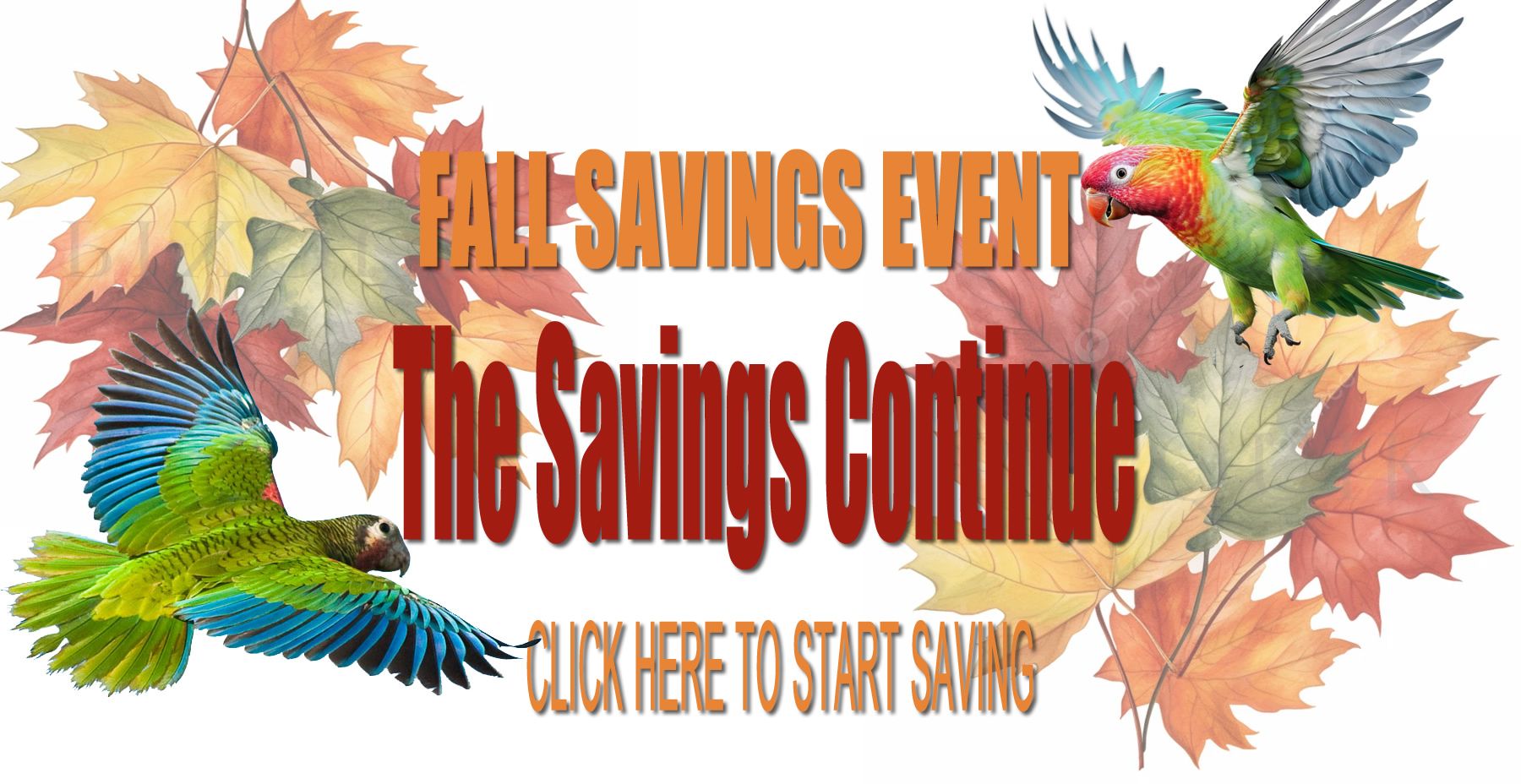 fall_savings_event_2024_r1_c1.jpg
