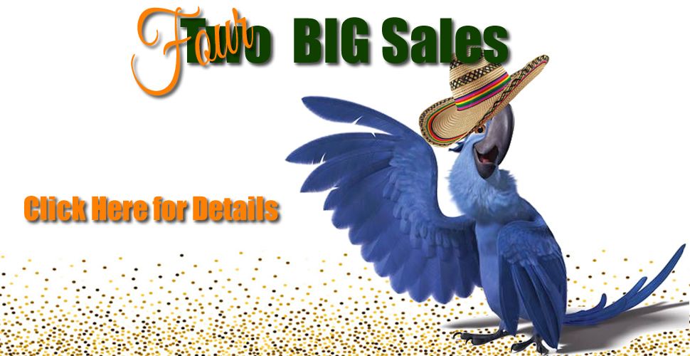 four_big_sales_cinco_de_mayo_r1_c1.jpg