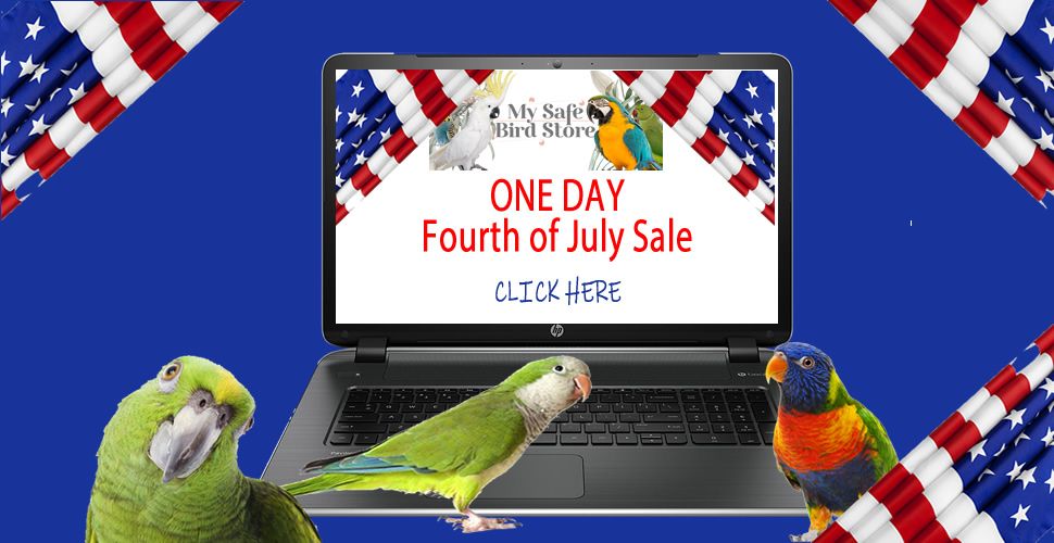 fourth_of_july_one_day_sale_r1_c1.jpg