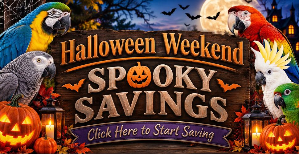 halloween_weekend_sale_r1_c1.jpg
