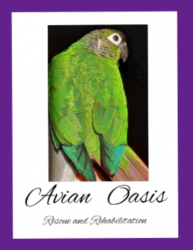 Avian Oasis Rescue