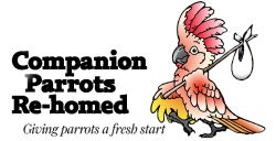 Companion Parrots Re-homed