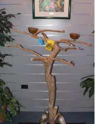 Natural Java Tree Playstands for Birds - FREE SHIPPING - Discounted