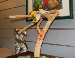Natural Java Tree Playstands for Birds - FREE SHIPPING!