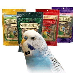 Click here to go to "LAFEBER'S"