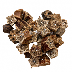 Drilled Mahogany Slices 50 Pack
