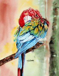 Artist Maria Barry Greeting Card Greenwing Macaw