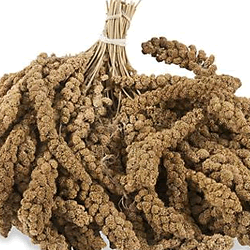 Click here to go to "MILLET"