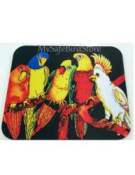 Conversation Among Parrots Computer MousePad