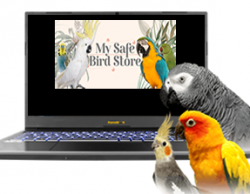 Click here to go to "*NEW* ITEMS"