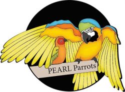Pearl Parrot Rescue