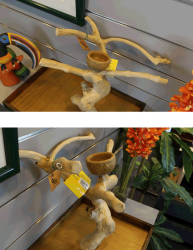 Natural Java Tree Playstands for Birds - FREE SHIPPING!