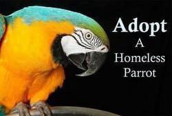 Click here to go to "SUPPORTING RESCUES"