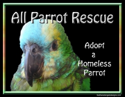 All Parrot Rescue