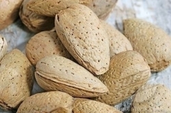 Almonds - In the Shell Per Pound