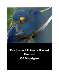 Feathered Friends Parrot Rescue of Michigan