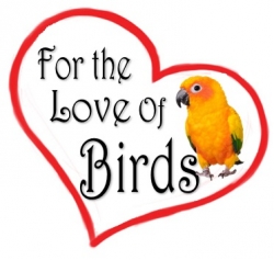 For the Love of Birds