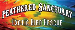 Feathered Sanctuary Exotic Bird Rescue