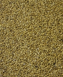 Golden Gourmet German Millet Bulk Per Pound