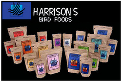 Click here to go to "HARRISON'S"