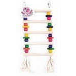 Click here to go to "LADDERS"