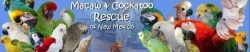 Macaw & Cockatoo Rescue of New Mexico