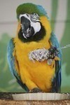 Click here to go to "TREATS"