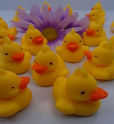 Mini Rubber Duckies 6 Pack