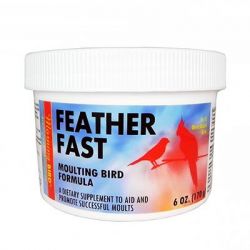 Morning Bird Feather Fast 6 oz