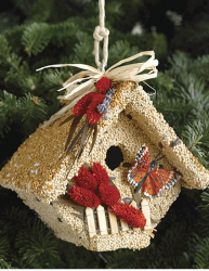 Mr. Bird Wren Casita Edible Bird House