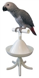 Click here to go to "TRAINING/WINDOW PERCHES"
