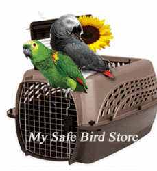 Click here to go to "CARRIERS"