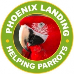 Phoenix Landing