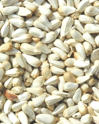 Safflower Seed Per Pound