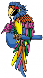 Click here to go to "SWEET FEET & BEAK"