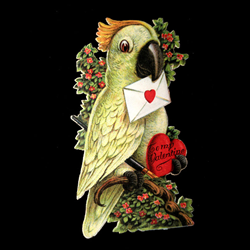 Click here to go to "GIFT GUIDE"
