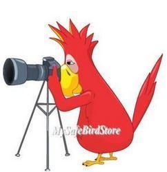 Click here to go to "PRODUCT/CUSTOMER VIDEOS"
