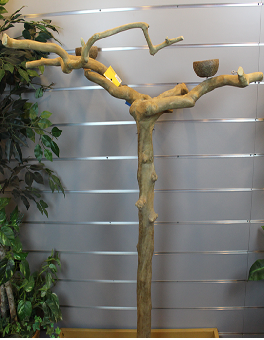 JTFBM5849 Medium Java Wood Floor Stand JAVA TREE PLAYSTANDS