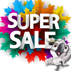 30% OFF ALL ITEMS