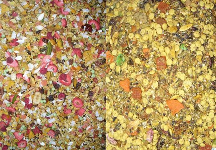 32407 - Bountiful Harvest 3.5# & 3# Sm Hookbill Supreme