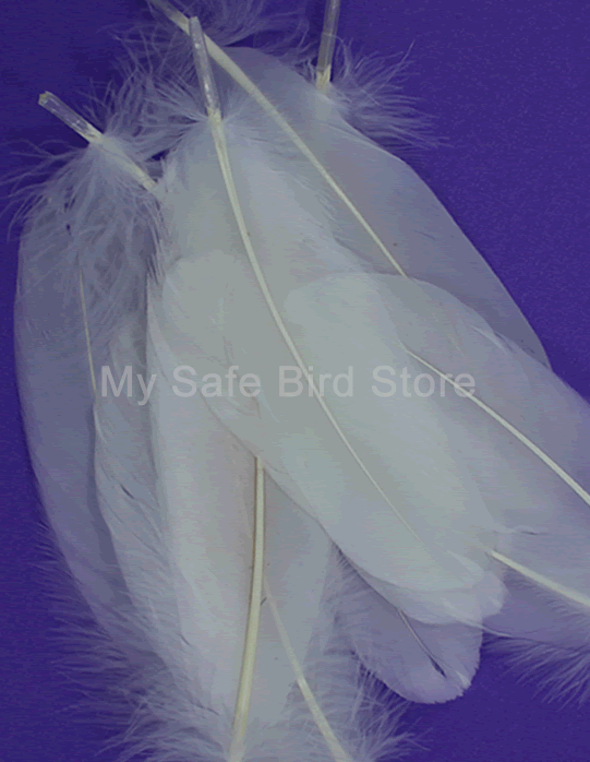 ZZ-TPN-FEATHER Natural Bleached White Goose Feathers - NATURAL BIRD TOY  PARTS