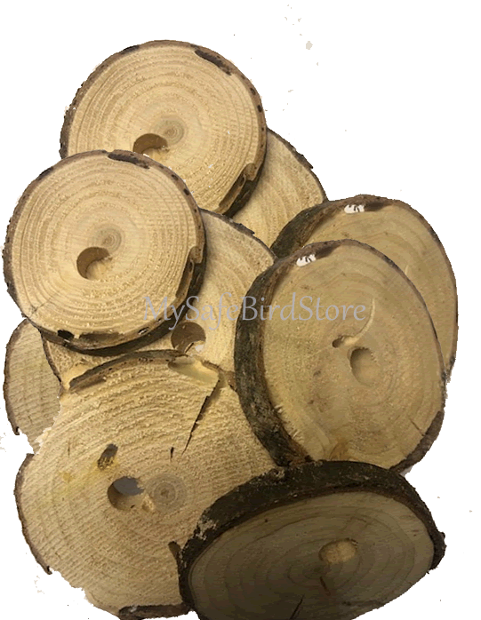 YWTPWSPINE310 Pine Wood 3 Inch Slice with 1/4" Hole 10 Pack WOOD